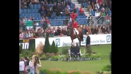 Horses - Show jumping