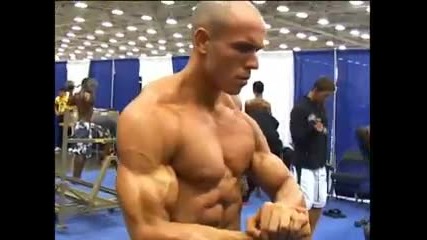 Bodybuilder models at the Bsn Model Search 