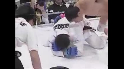 Mma Brutality Best Knockouts