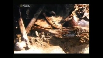Вярно ли е ? - вампири Част 2/2