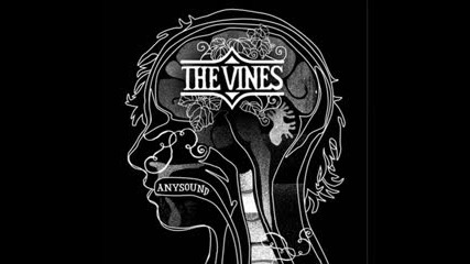 Not The Vines - Paint It Black