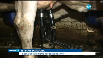 Продължава уличната продажба на мляко