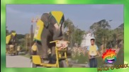 Слон кара колело и други кретении - Много смях