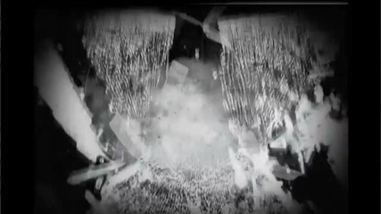 Trap Boss - Till I Die