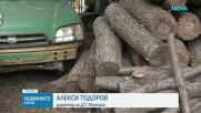 Драстичен скок на незаконния дърводобив в Монтанско с идването на есента