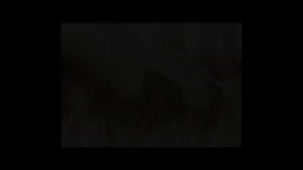 Fiona Apple - Sullen Girl