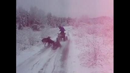 Луди се теглят с Atv на сняг
