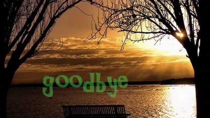 I Can't Find the Words to Say Goodbye