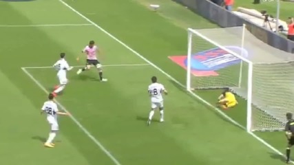 Ivaylo Chochev Goal - Palermo 1-0 Genoa 19-04-2015