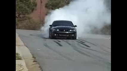 Ford Mustang Cobra