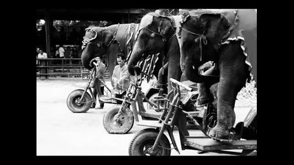 Schlepp Geist - Fat For Fun (nico Stojan Don't Look Back Remix).