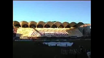 Austria Zalcburg Ultras Grup