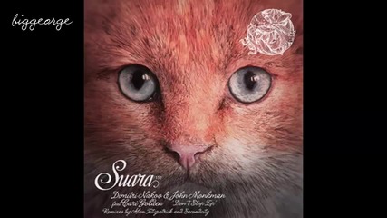 Dimitri Nakov And John Monkman ft. Cari Golden - Don't Stop ( Alan Fitzpatrick Remix )