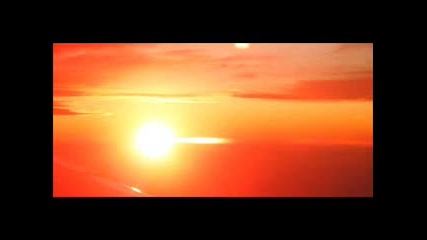 Ammonite - Liquid sun