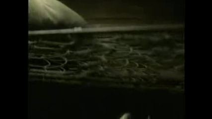 nelly furtado - try