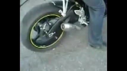 Gsx - R 600 K6 Shark with Dbkiller 