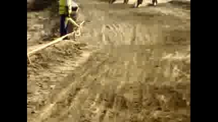 Elena.mp4