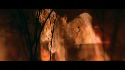 Evanescence - Sweet Sacrifice (video)