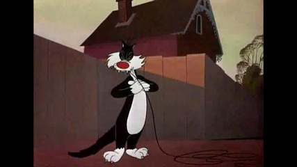 Tweety And Sylvester - Bad Ol Putty cat