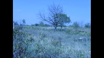 Untitled 2_0001