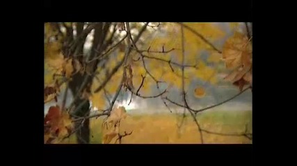 Нежна ! Selma Bajrami - Ostrvo tuge + Превод