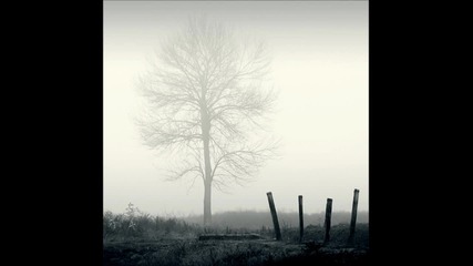 Trespassers William - Vapour Trail