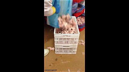 Ето така работят хората в Полша