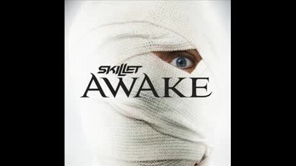 Skillet - One Day Too Late