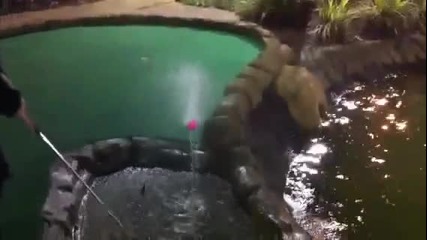 Greatest putt - putt shot of all time 