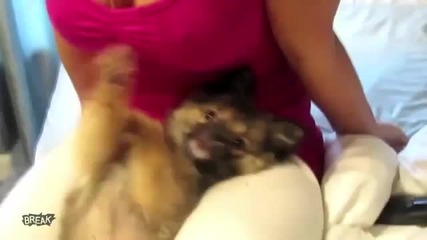 Най - Щастливото Куче !!!