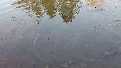 Vid_20180413_083620