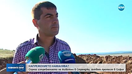 Ситуацията в Странджа се успокоява, изтреблението на животни беше спряно