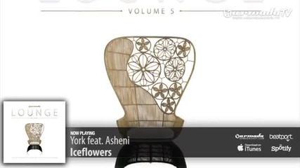 York feat. Asheni - Iceflowers