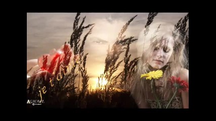 Amadeus Mozart - Piccola Serenata Notturna 