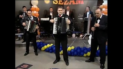 Dragan Savic Gula- Cesnica kolo