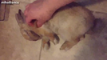 Няма човек, който да не се засмее докато гледа това видео!