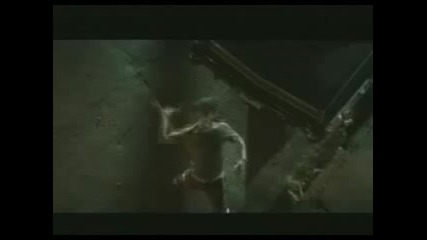 Wrong Window - Levis