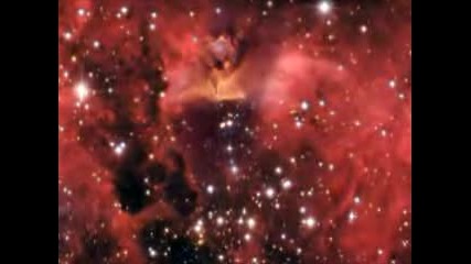 Massive Star