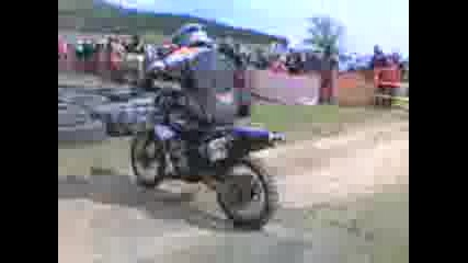Motori