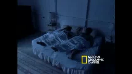 National Giographic - Bed bugs 