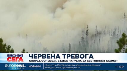 Според ООН 2023 г. е била пагубна за световния климат