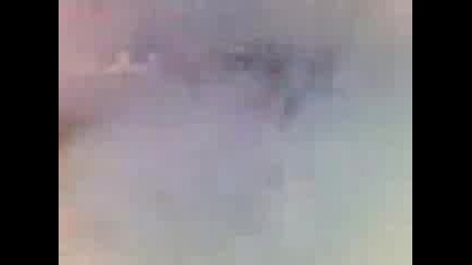 Punchev I Trichi