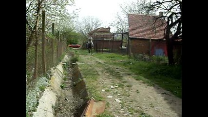 Sdc16036.avi