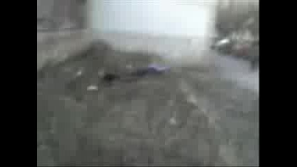 Miki The Killer