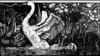 Swan Lake