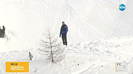 Серия от лавини убиха трима души в швейцарските Алпи