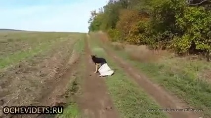 Руски ловец спасява вързано куче в чувал !