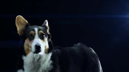 Swedish House Mafia - Save The World