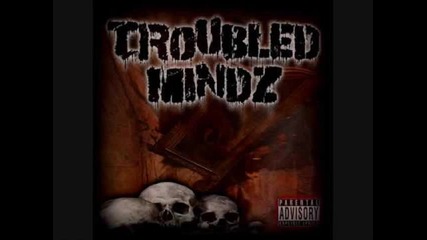Troubled Mindz ft. Tre Llie & Wayne Dub - We Dont Play 