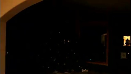 Музикално шоу с gangnam style